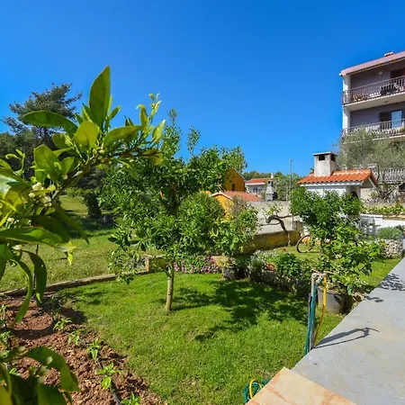 Nita Apartament *