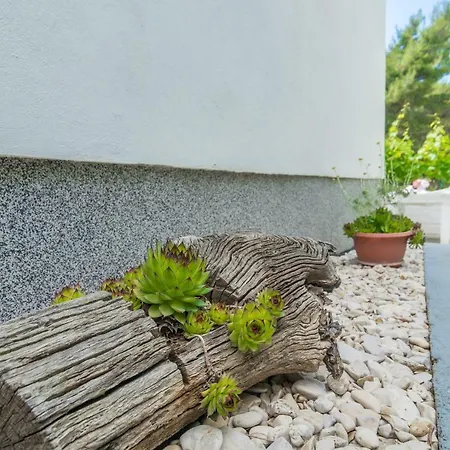 Apartment Villa Nita